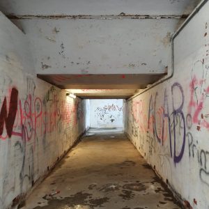 Anblick des Grauen